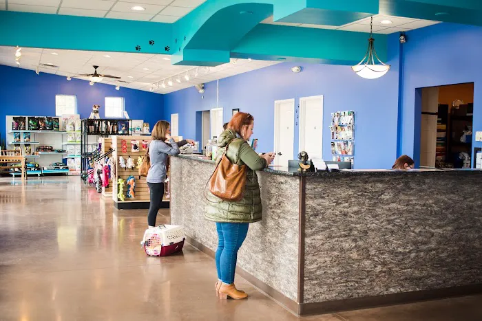 Carpenter Animal Hospital and Pet Inn Picture 7