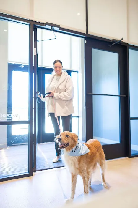 GoodVets Cary Picture 7