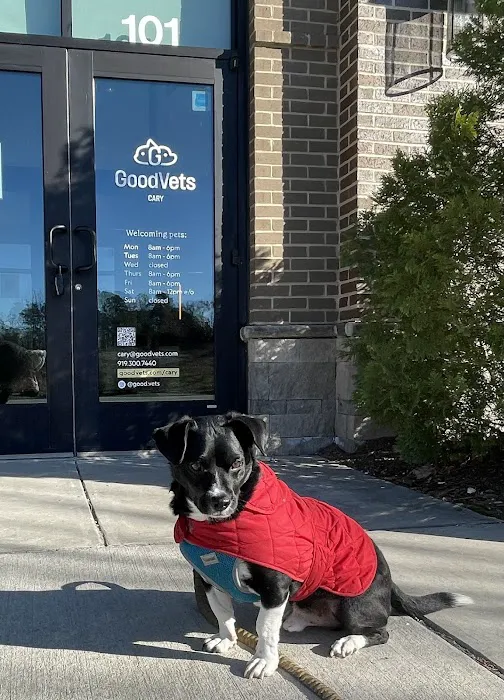 GoodVets Cary Picture 1