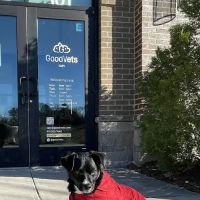 GoodVets Cary ico