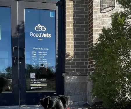GoodVets Cary