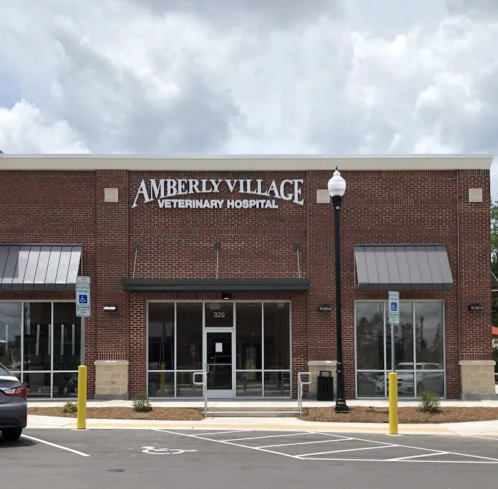 Amberly Village Veterinary Hospital Picture 6