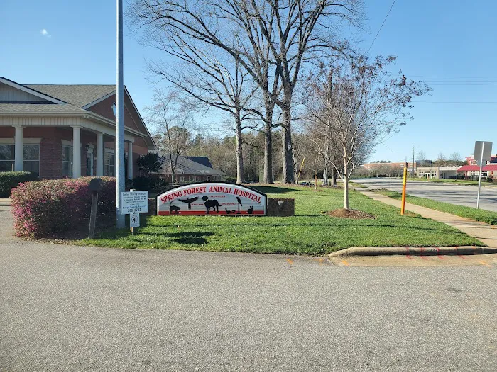 Spring Forest Animal Hospital Picture 10