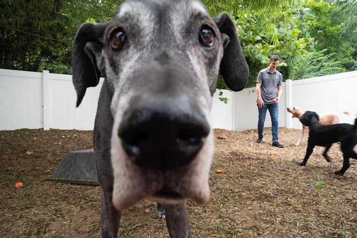 Raleigh Community Animal Hospital Picture 7