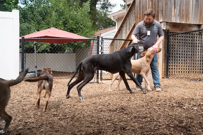 Raleigh Community Animal Hospital Picture 1