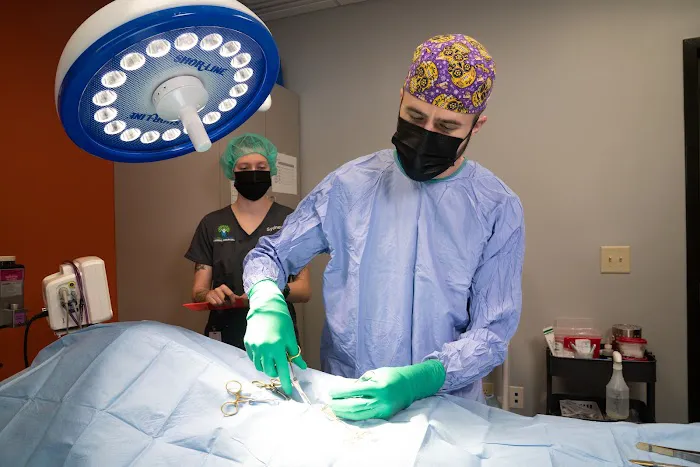 Raleigh Community Animal Hospital Picture 9
