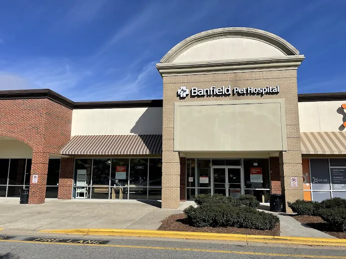 Banfield Pet Hospital Picture 4