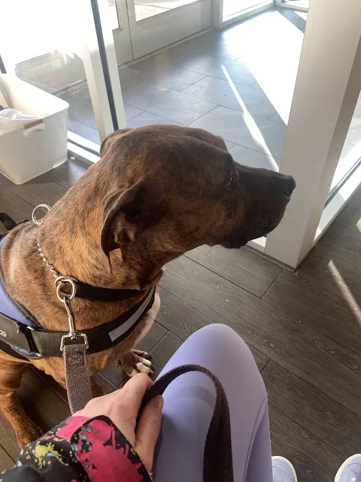 Banfield Pet Hospital Picture 6