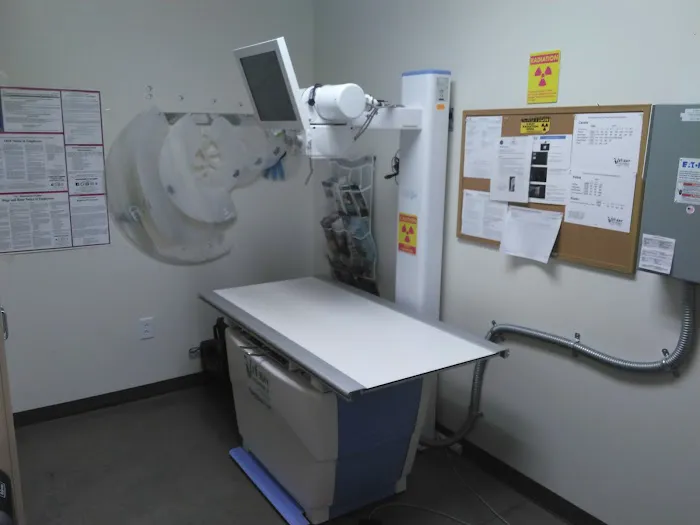 Vetco Total Care Animal Hospital Picture 8