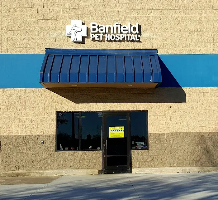 Banfield Pet Hospital Picture 8
