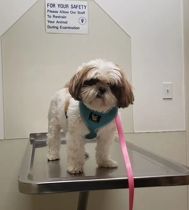 VCA Legion Road Animal Hospital Picture 1