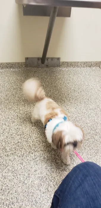 VCA Legion Road Animal Hospital Picture 3