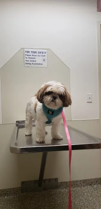 VCA Legion Road Animal Hospital Picture 4