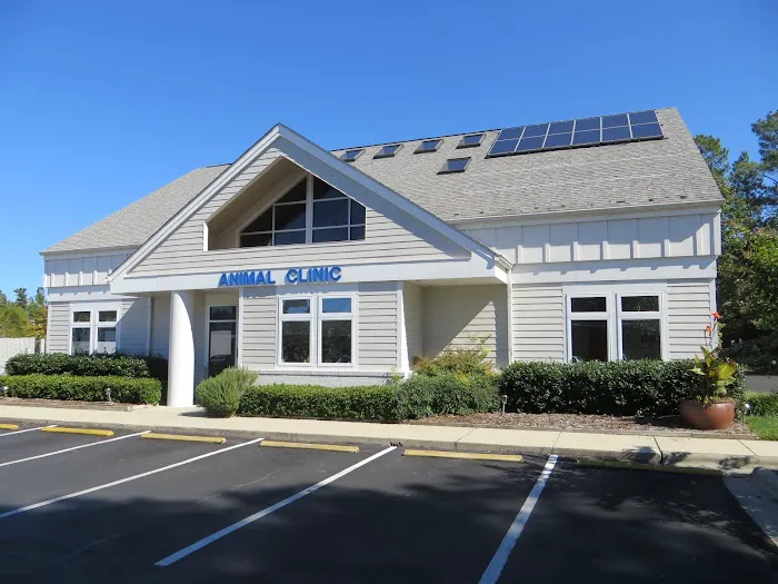 VCA Legion Road Animal Hospital Picture 9