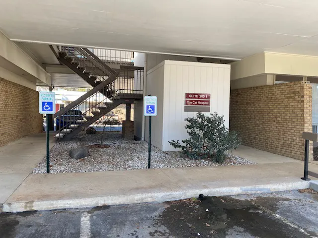 The Cat Hospital of Durham and Chapel Hill Picture 5