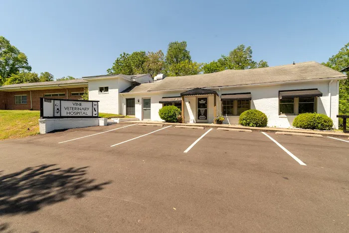 Vine Veterinary Hospital Picture 3