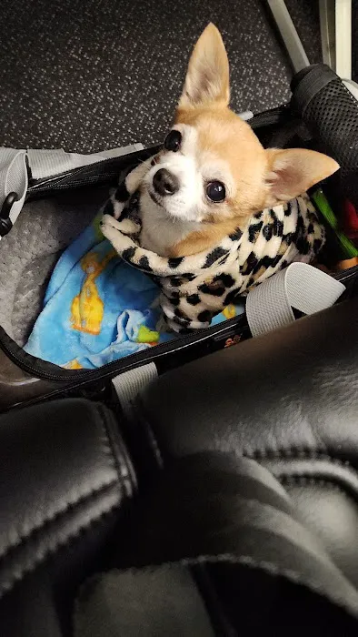 Vine Veterinary Hospital Picture 6