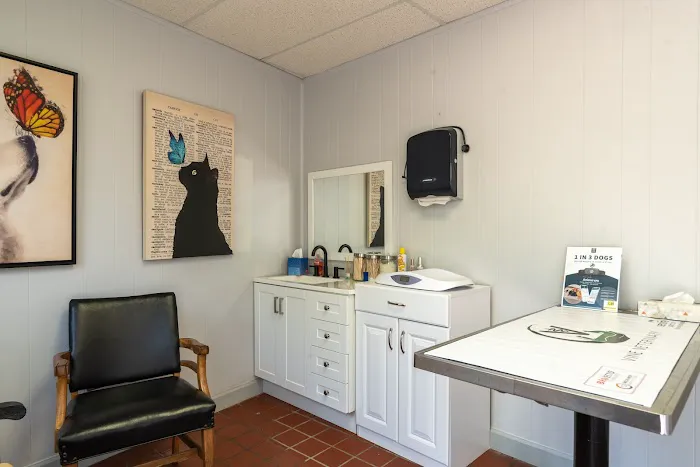 Vine Veterinary Hospital Picture 2