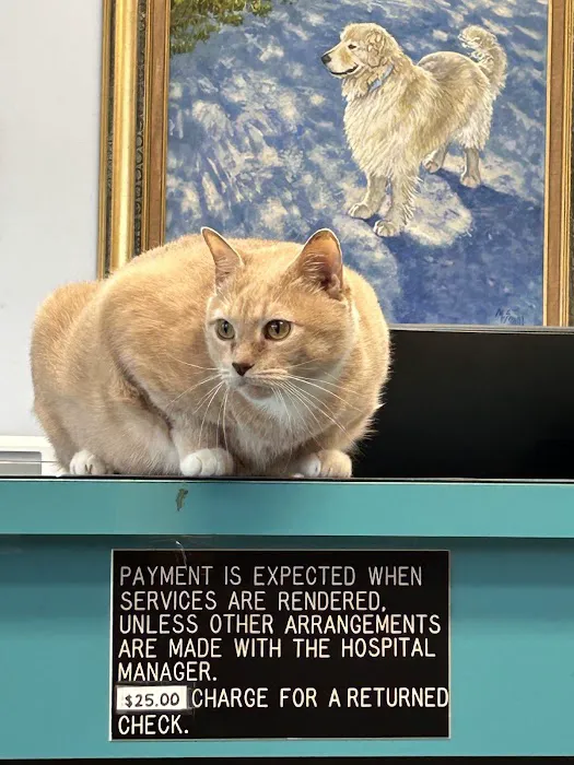 Four Paws Animal Clinic Picture 7