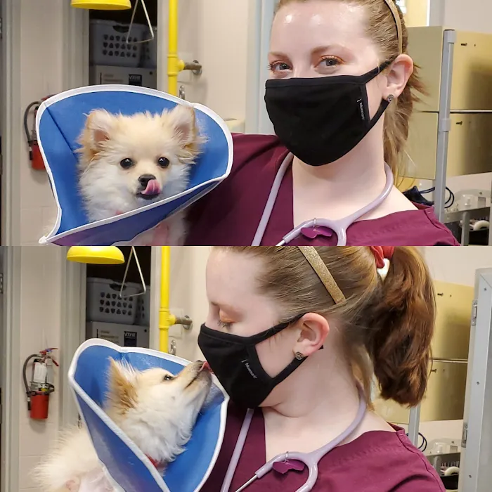 Veterinary Referral & Critical Care Picture 10