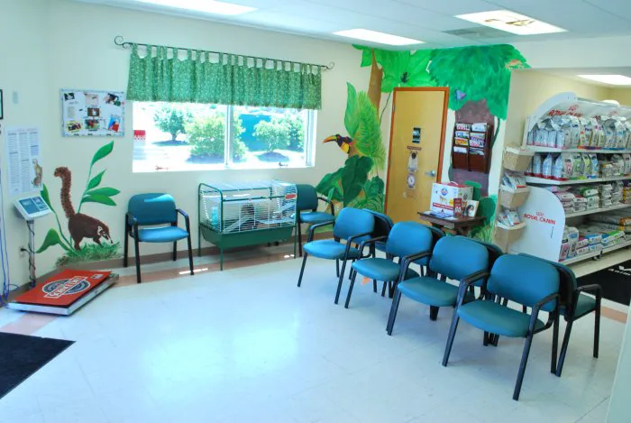 VCA Pets First Animal Hospital Picture 2
