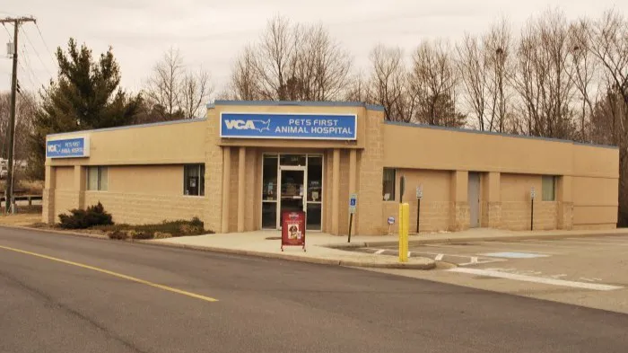 VCA Pets First Animal Hospital Picture 8