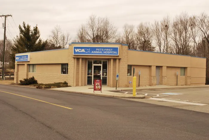 VCA Pets First Animal Hospital Picture 3