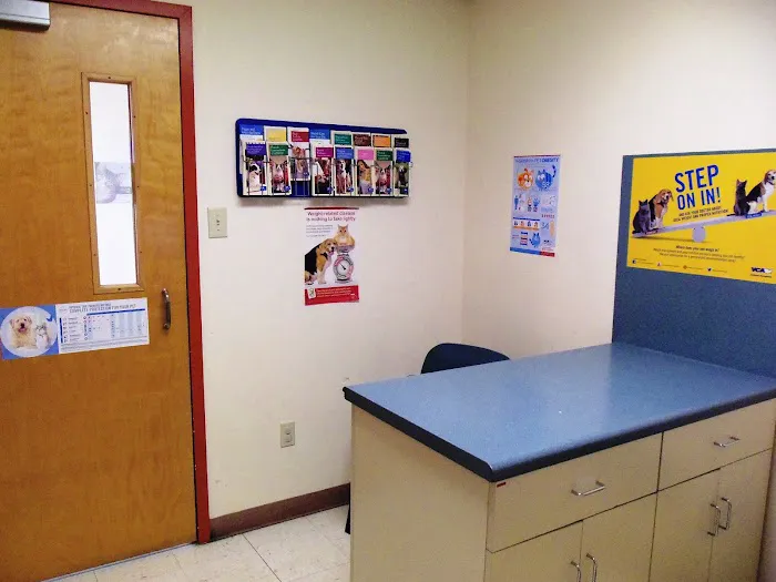 VCA Pets First Animal Hospital Picture 9