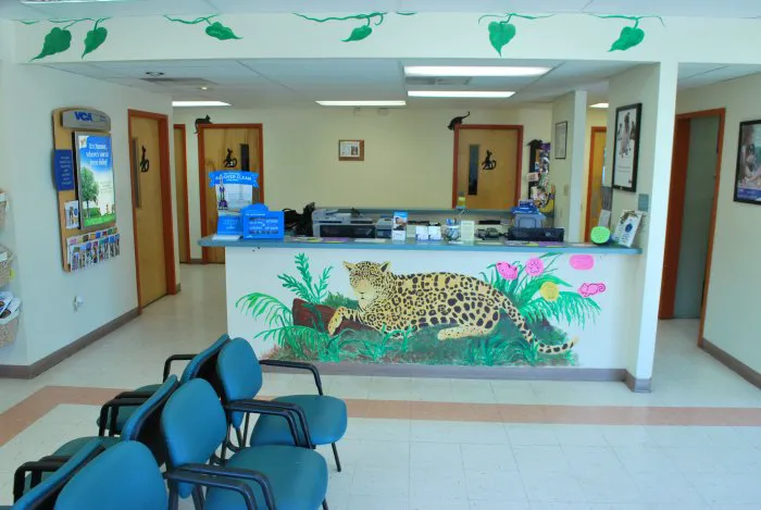 VCA Pets First Animal Hospital Picture 5