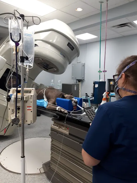 The Oncology Service - Richmond Picture 5
