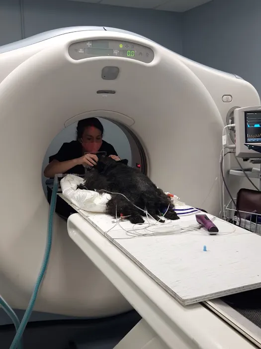 The Oncology Service - Richmond Picture 3
