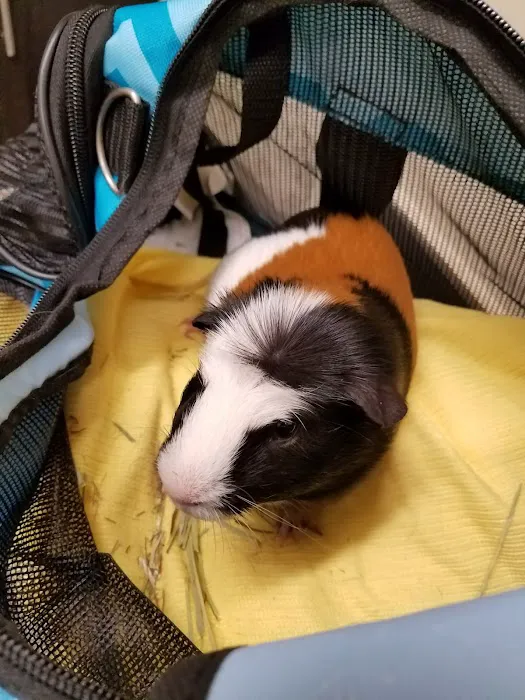 Lakeside Animal Hospital Picture 6