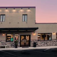 Lakeside Animal Hospital ico