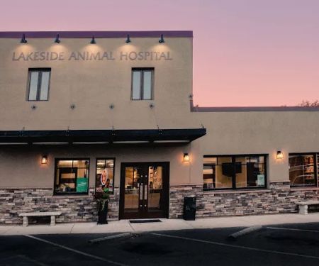 Lakeside Animal Hospital
