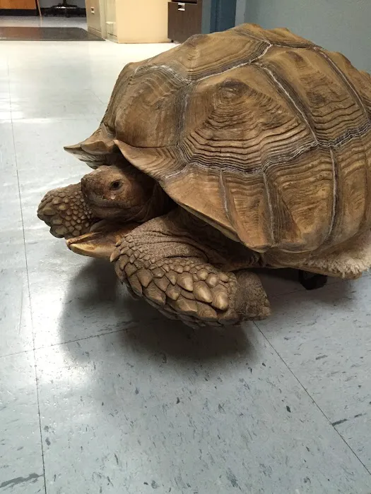 Lakeside Animal Hospital Picture 9