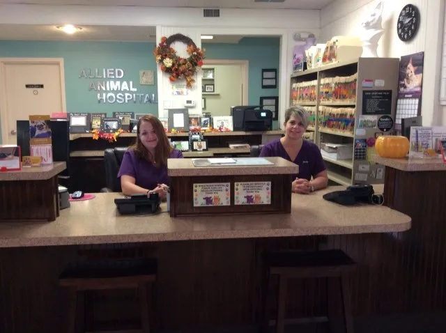 Allied Animal Hospital & Pet Picture 3