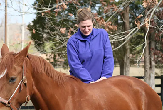 Full Circle Veterinary Services Picture 1