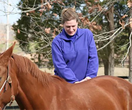 Full Circle Veterinary Services