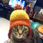 Dugan Carol DVM
