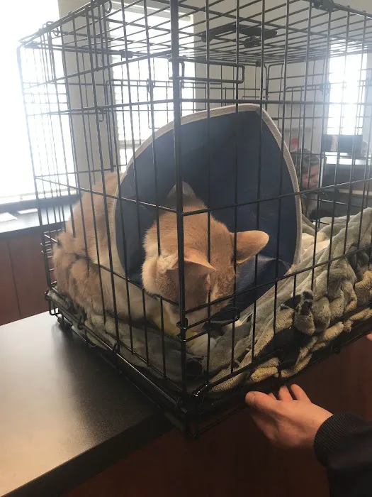 Mechanicsville Animal Hospital Picture 7
