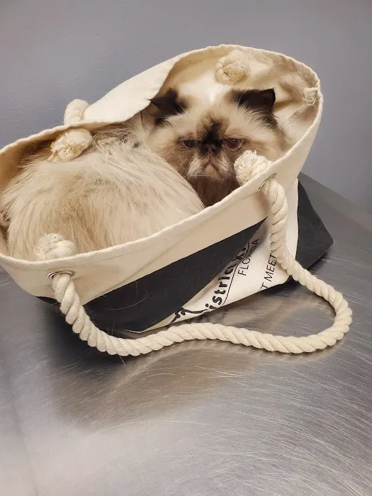 Mechanicsville Animal Hospital Picture 9