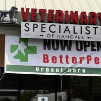BetterPet Veterinary Urgent Care ico