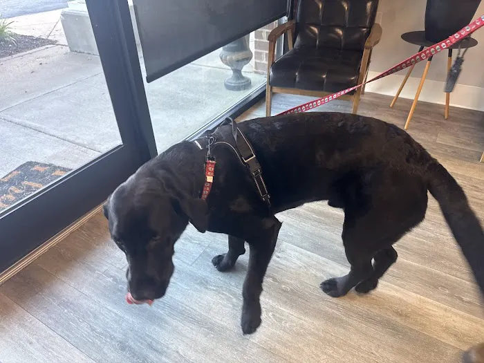 BetterPet Veterinary Urgent Care Picture 3