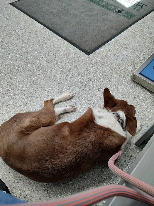 Hanover Green Veterinary Clinic Picture 10