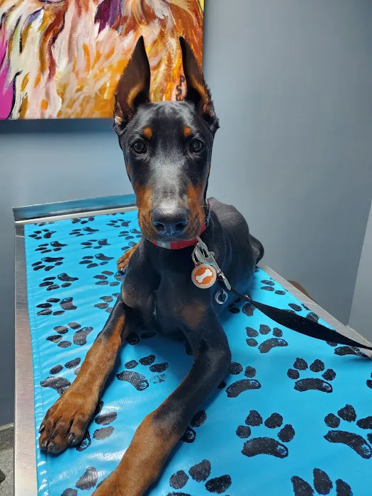 Hanover Green Veterinary Clinic Picture 4