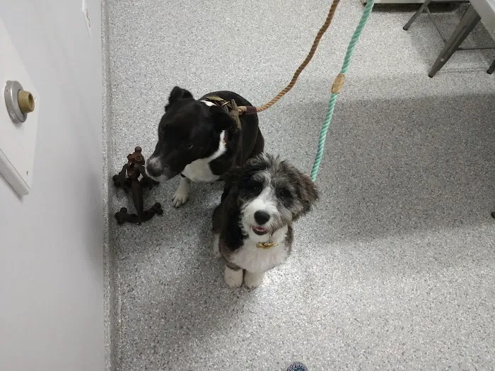 Hanover Green Veterinary Clinic Picture 1