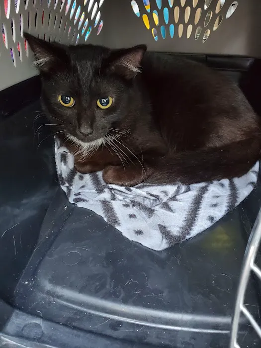 Smoky's Spay & Neuter Clinic Picture 2