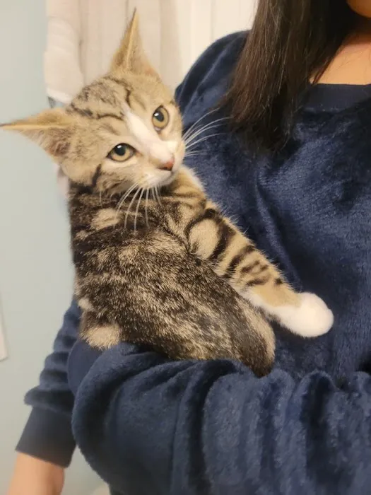 Smoky's Spay & Neuter Clinic Picture 3