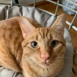 Smoky's Spay & Neuter Clinic