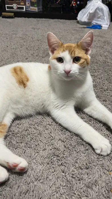 Smoky's Spay & Neuter Clinic Picture 7